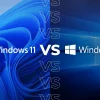 Microsoft Windows 10 and Windows 11_1a